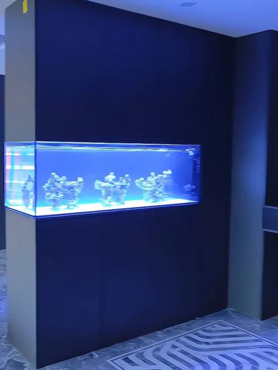 这个鱼缸隔断长我心巴上了