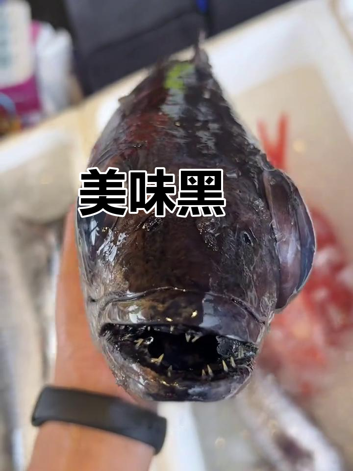 黑鯥鱼肉质鲜美,炙烧后香气扑鼻,口感丰富