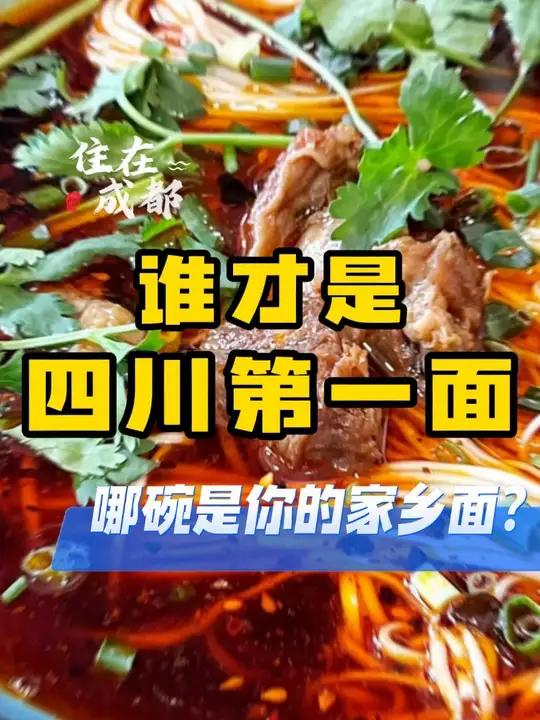 谁才是四川第一面?谁才是四川第一面,哪一碗是你心中的NO.1呢 特色面食 地方特色美食 这