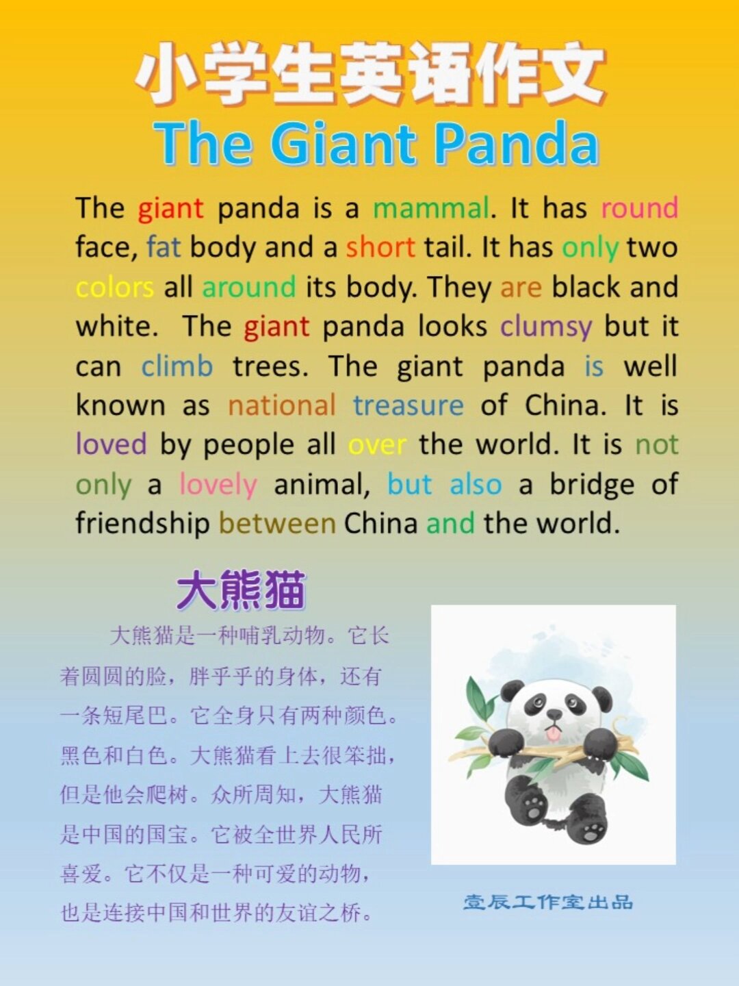 优秀英语作文|大熊猫