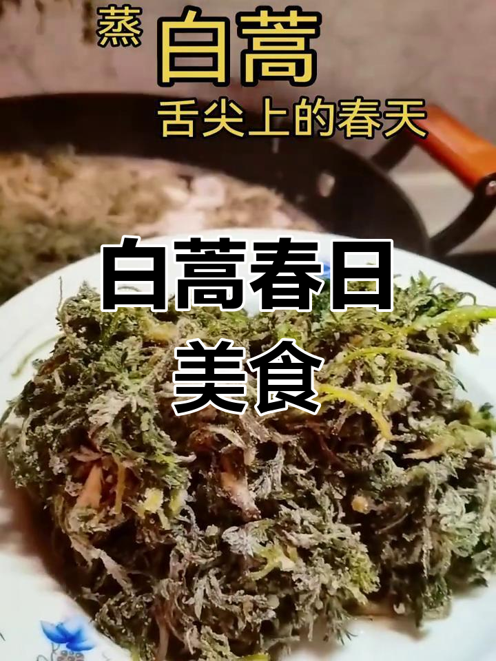 春季尝鲜,蒸白蒿低脂又健康,简单一做即成美味养生菜