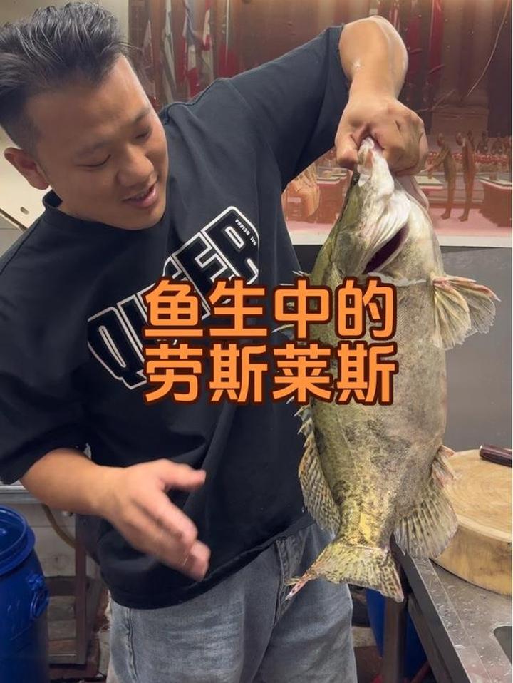 桂花鱼做成的横县鱼生，堪称鱼生中的劳斯莱斯