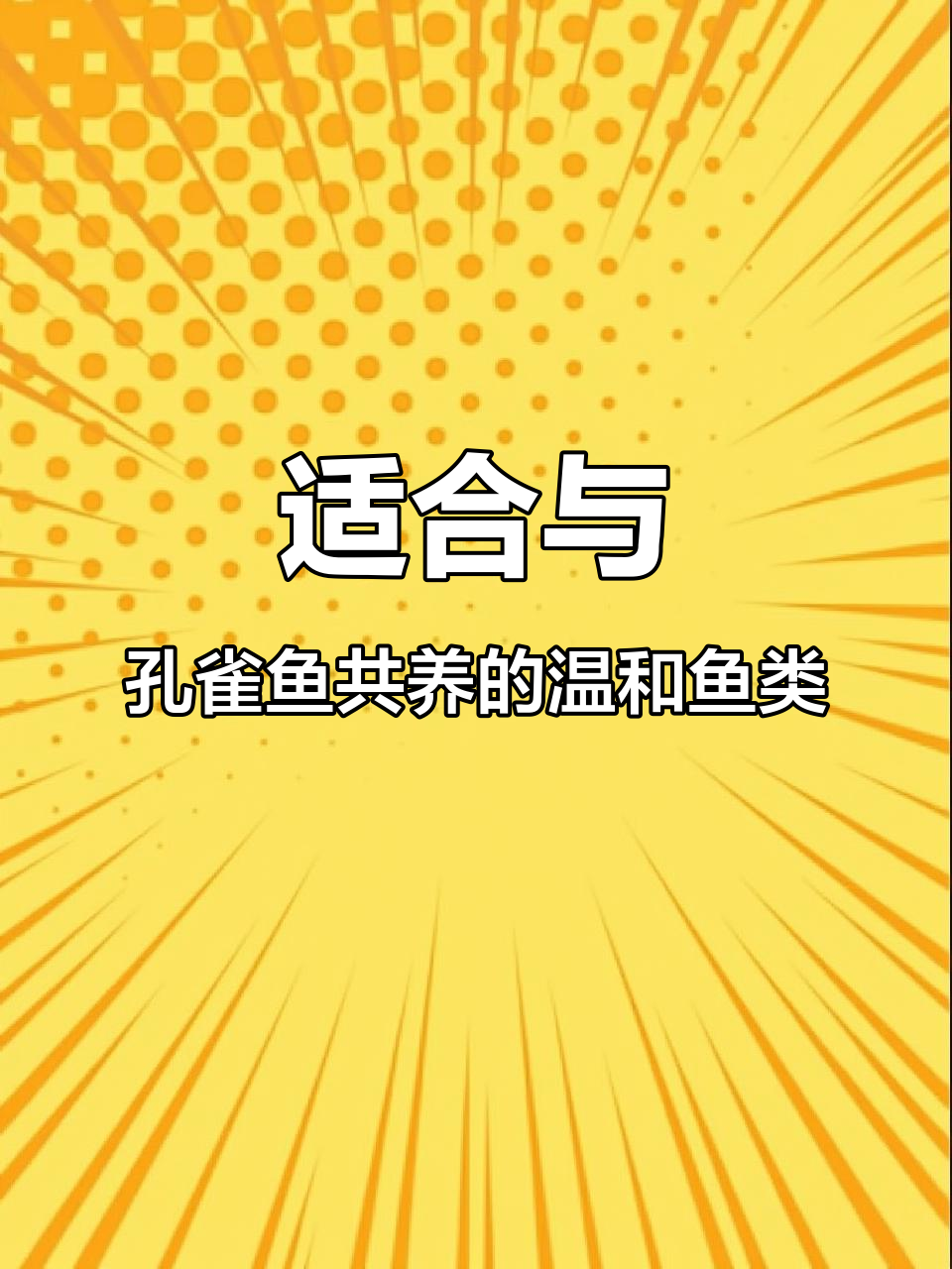孔雀鱼混养最佳选择:温和鱼类搭配指南