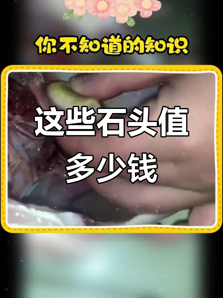 牛黄、青鱼石到狗宝,这些“宝贝”你了解吗?