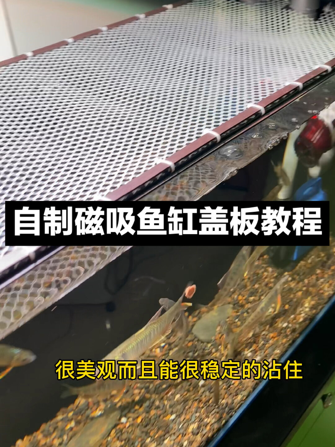 自制鱼缸磁吸盖板全教程