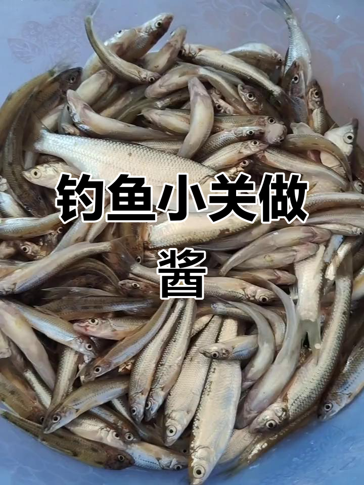 钓船钉子鱼,二斤多收获!