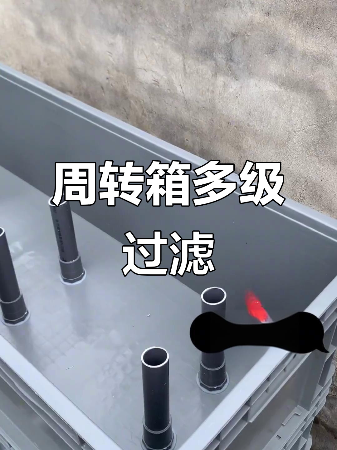 锦鲤鱼池过滤全攻略：周转箱多层沼泽过滤器设计