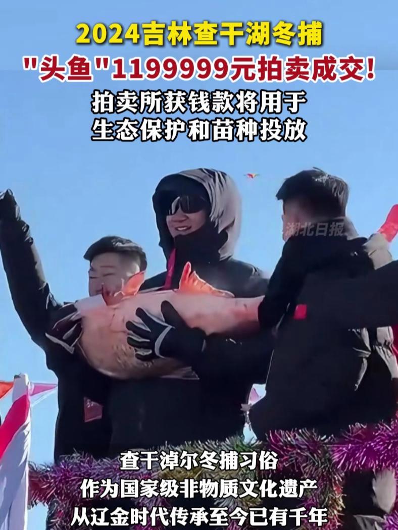 2024吉林查干湖冬捕,“头鱼”1199999元拍卖成交!拍卖所获钱款将用于生态保护和苗种