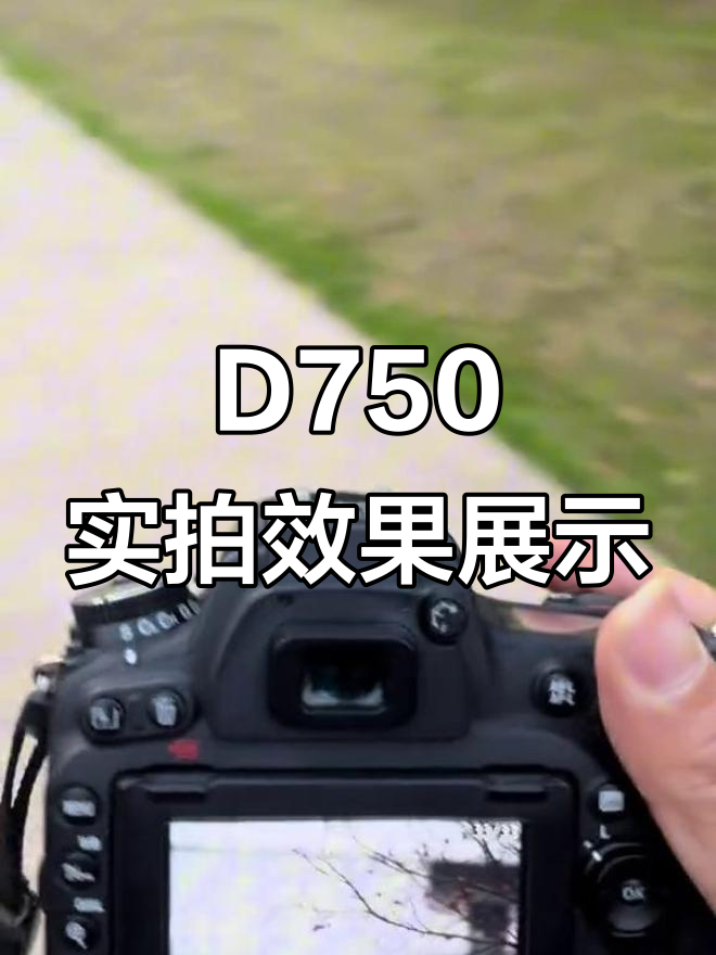 尼康D750搭配85mm镜头,拍摄效果惊艳!