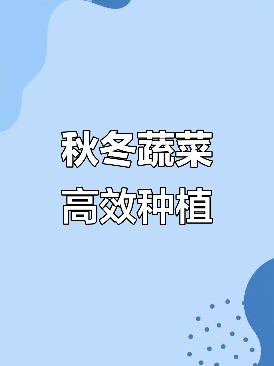 秋季种植菠菜、小油菜等,耐寒又速生,收获快!