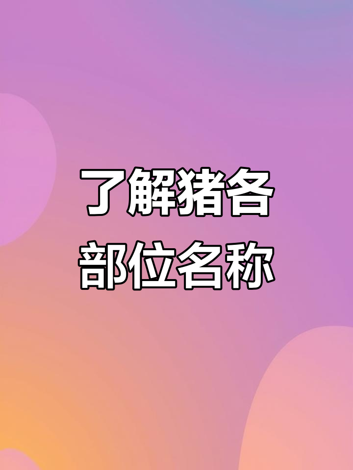 猪肉品种大揭秘：前尖、后尖与五花肉的区别