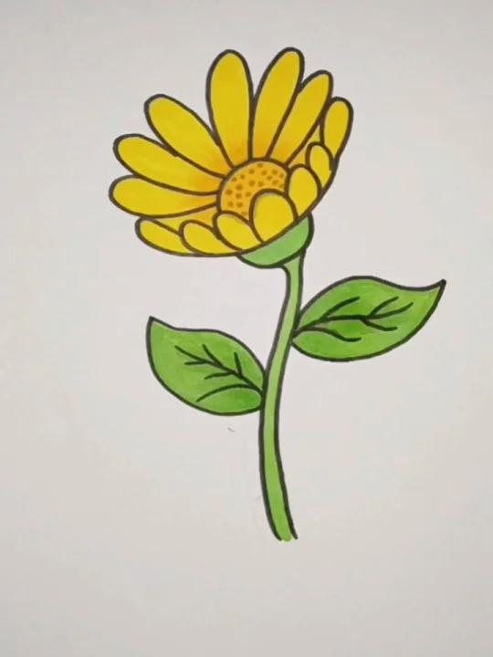 美术老师教我画的花漂亮吗 花朵简笔画
