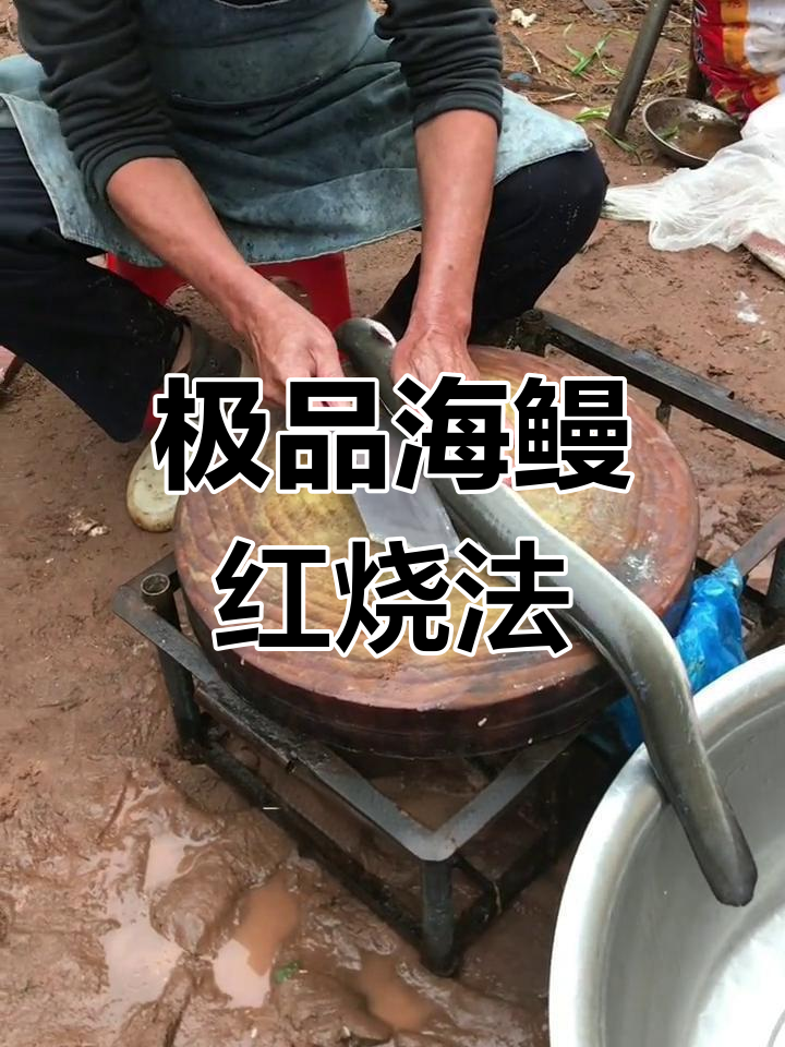 海鳗与田鳝的独特美味,简单烹饪展现极致风味