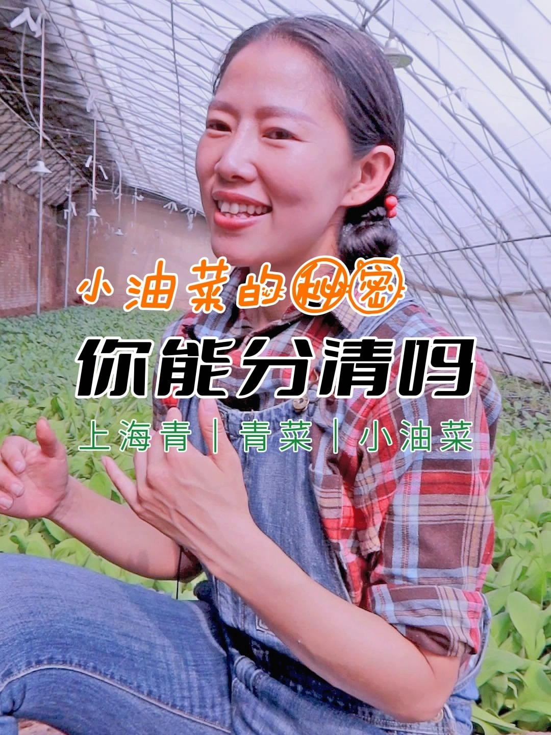 你能分清吗?上海青、青菜、小油菜、鸡毛菜