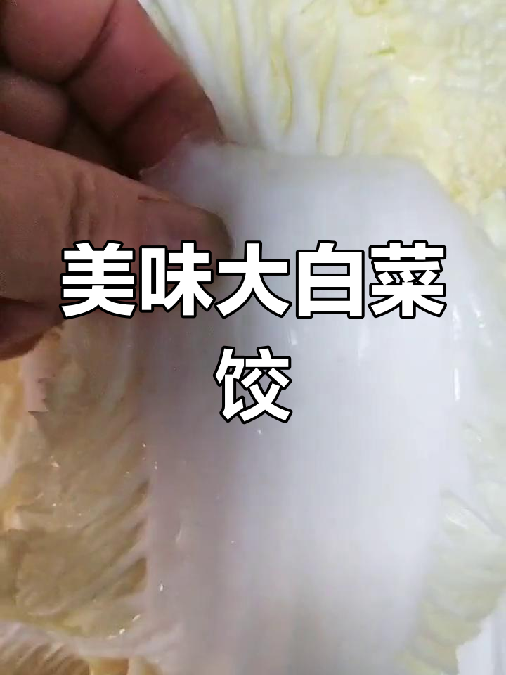 大白菜猪肉饺子馅做法