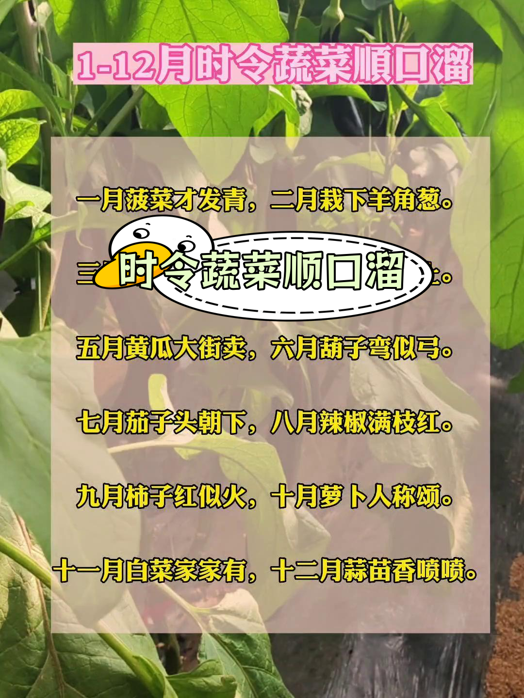 1-12月时令蔬菜种植指南