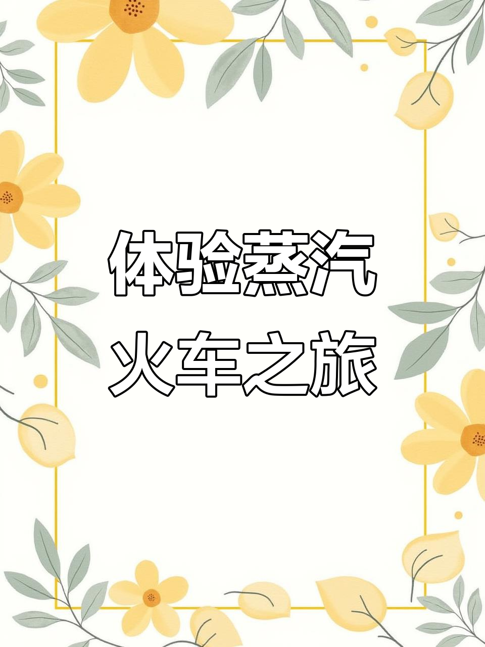 探秘蒸汽火车的魅力与历史,从桦南森林小火车出发