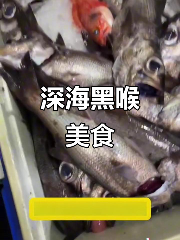 黑喉鱼深海美味，300米深处钓上来，做法多样令人垂涎