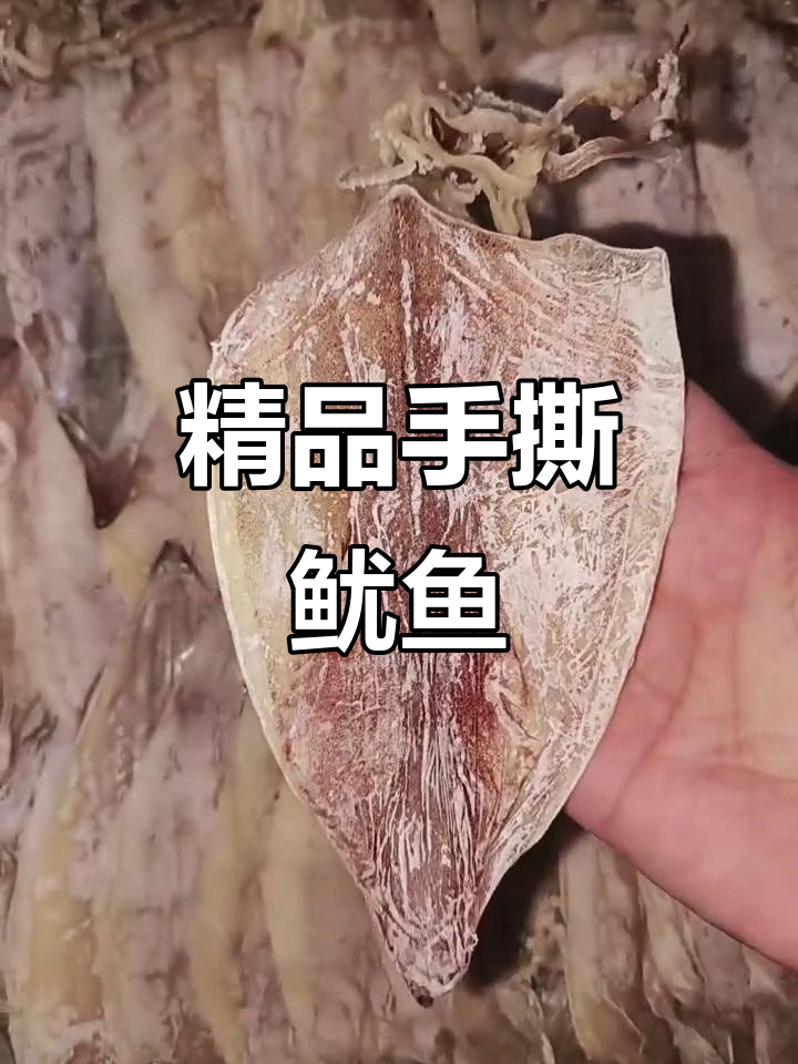 精选干鱿鱼,烧烤店必备!各种规格任你选
