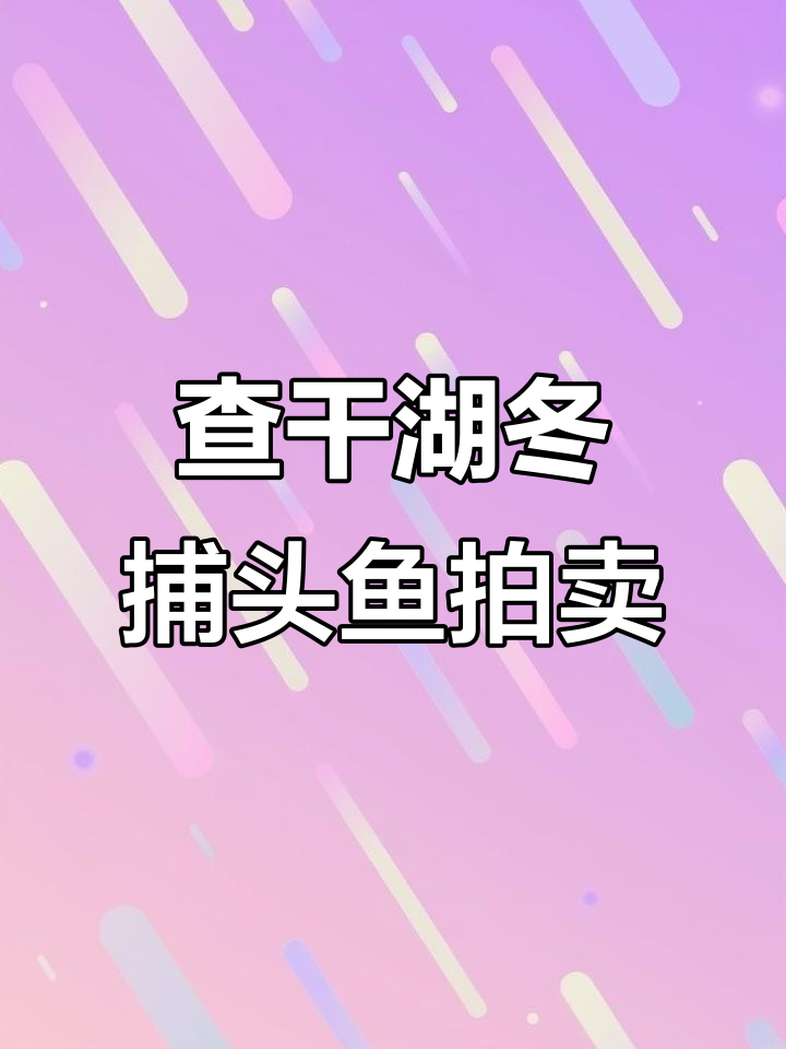 查干湖冬捕头鱼拍卖:历年价格揭秘