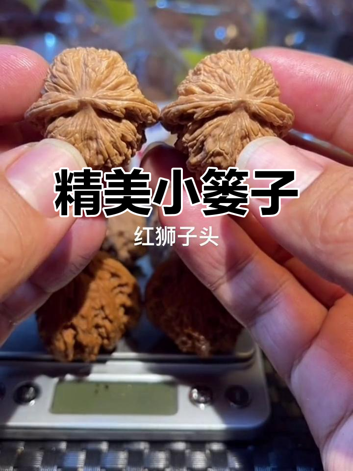 小元宝狮子头,精民四座楼小篓子来啦!