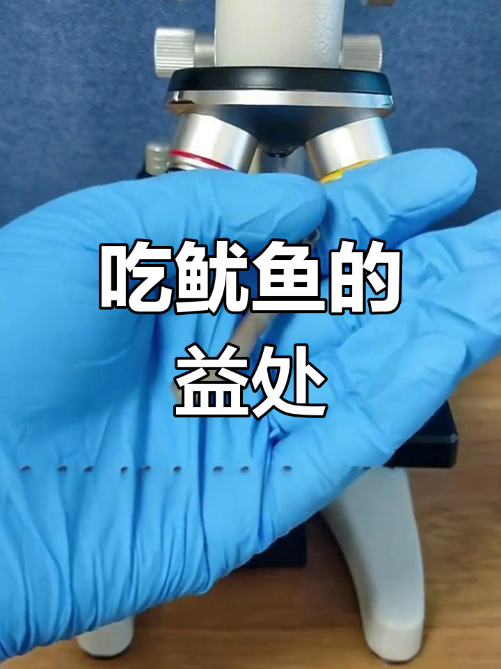 鱿鱼的营养价值揭秘,低脂高蛋白