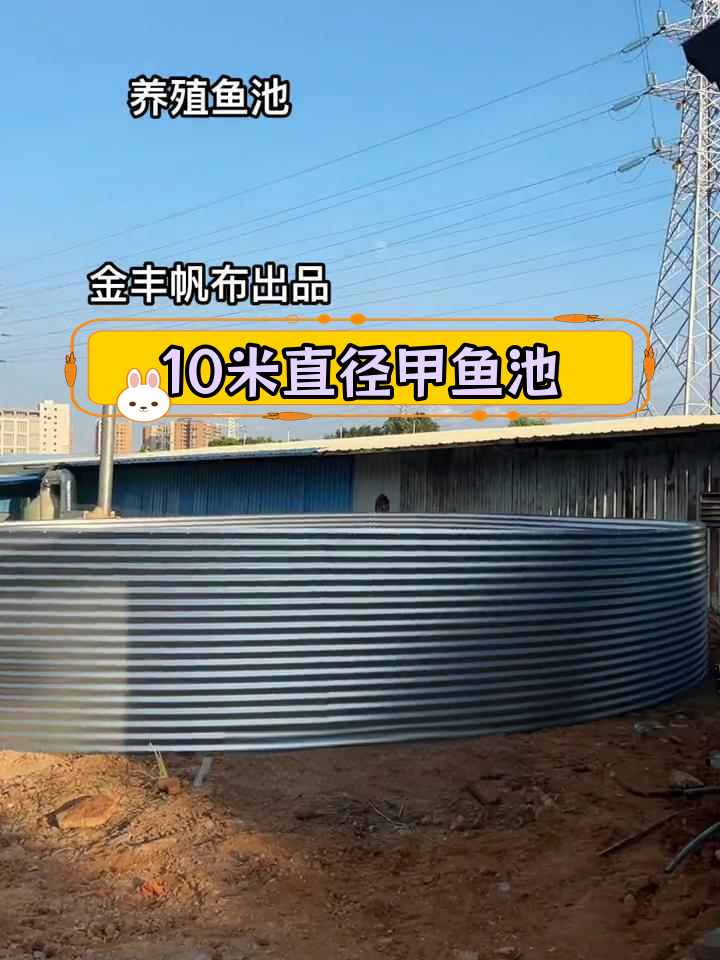 高密度甲鱼养殖池建设现场