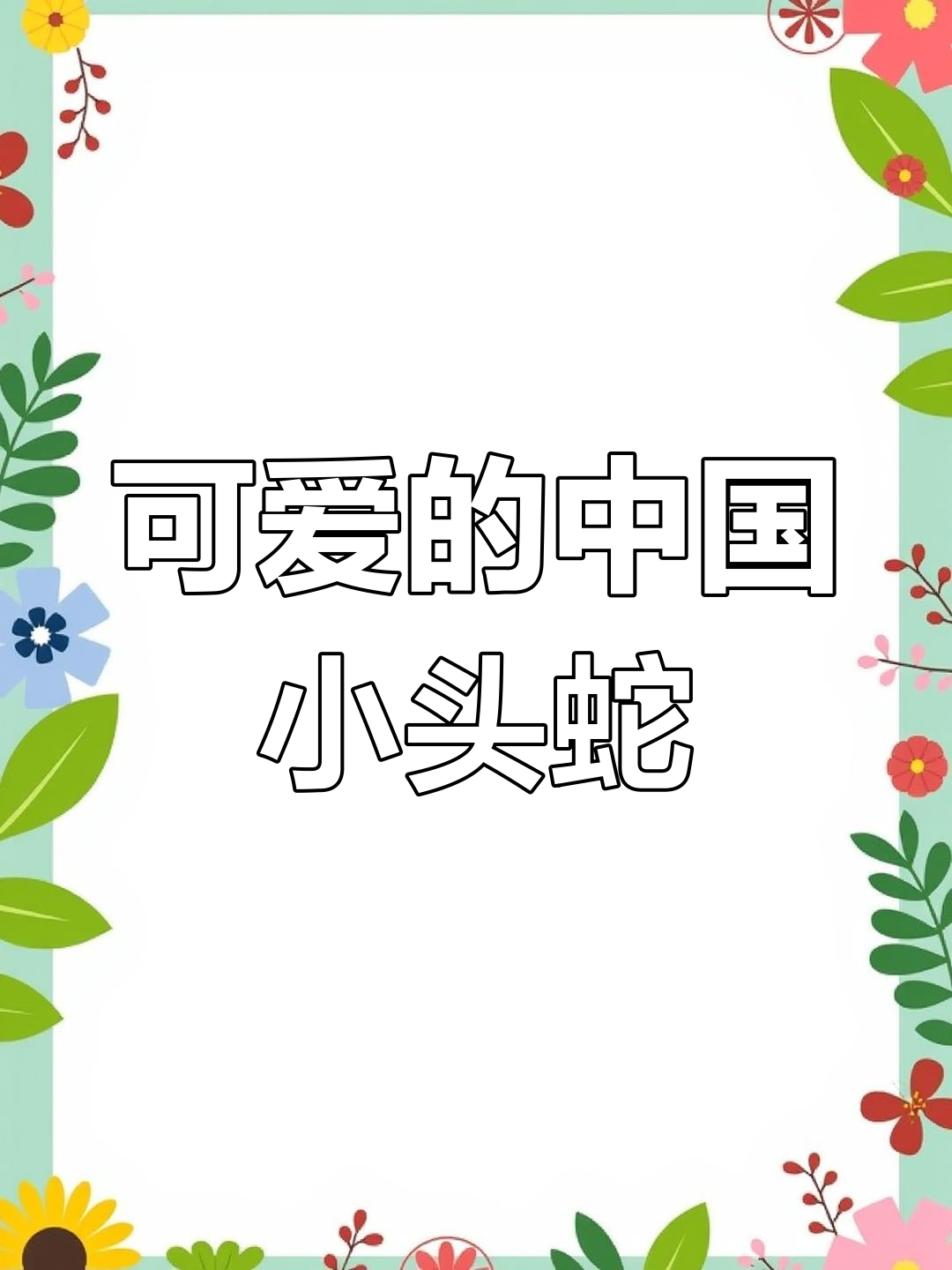中国小头蛇:暴躁可爱的江中宠儿