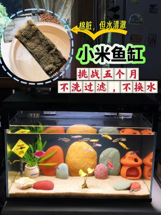 小米鱼缸过滤改造，挑战5个月不洗棉不换水