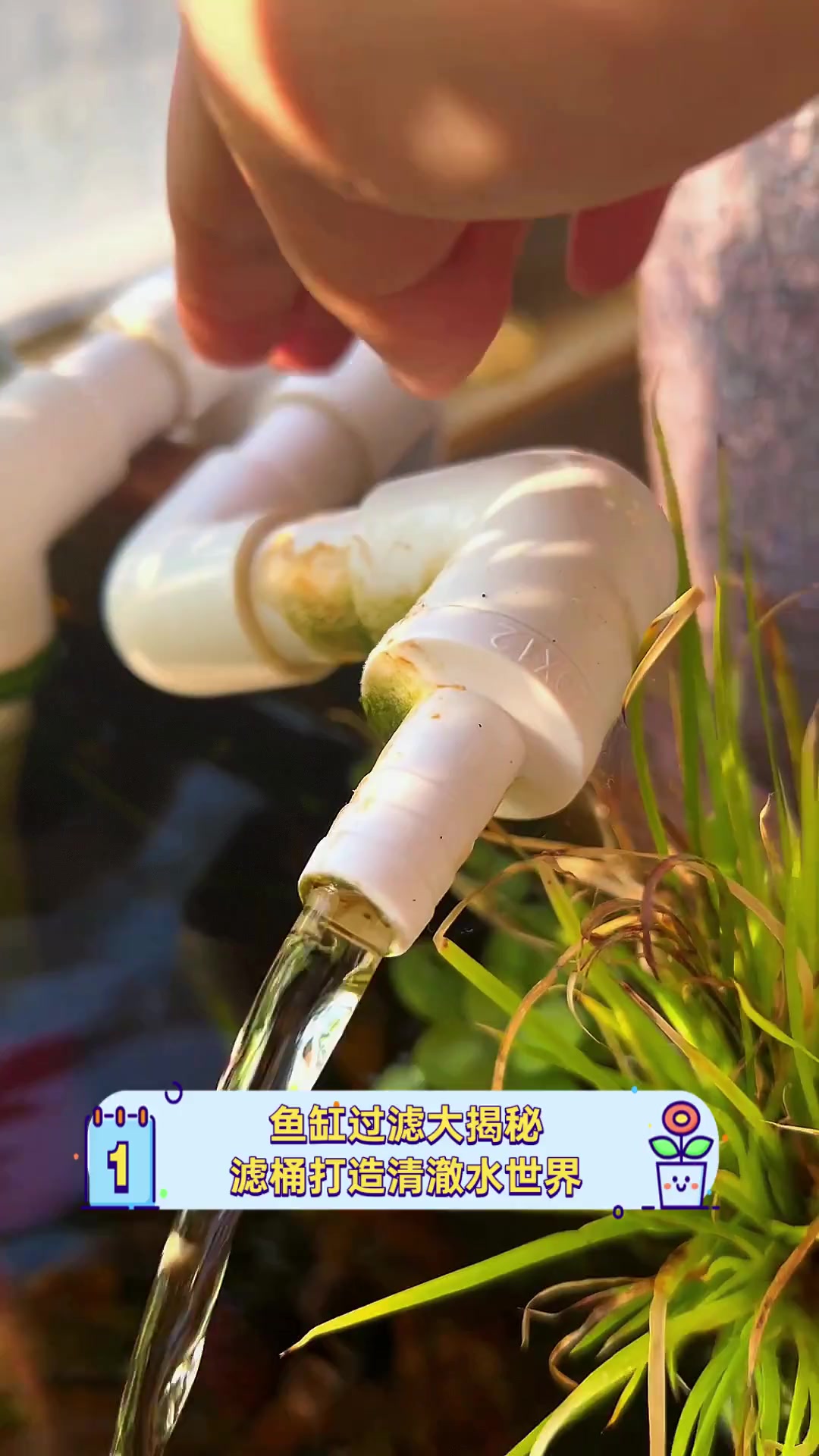鱼缸过滤大揭秘,滤桶打造清澈水世界