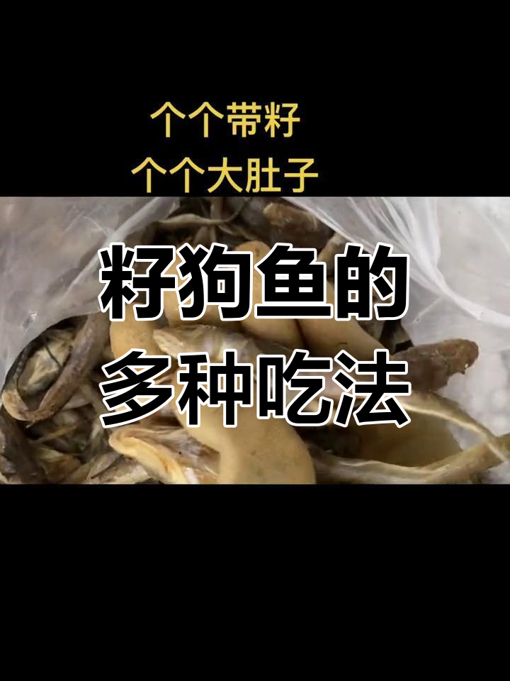 油光鱼大小皆宜,炸蒸两吃,小咸鱼拌饭绝配!