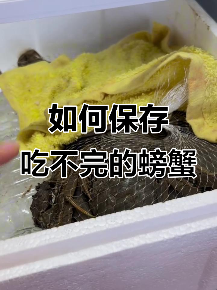 吃不完的螃蟹如何正确保存?教你冰箱冷藏技巧