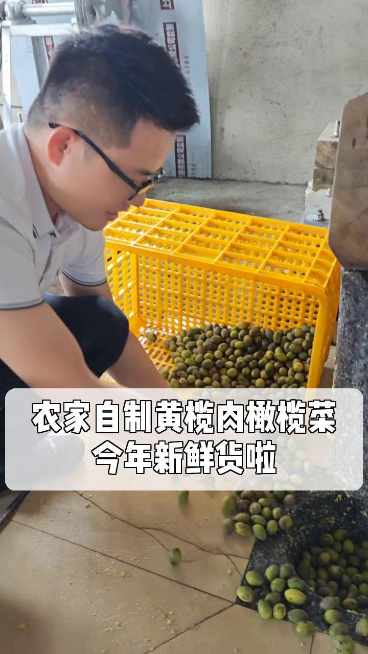 农家自制黄榄肉橄榄菜,今年新鲜货啦