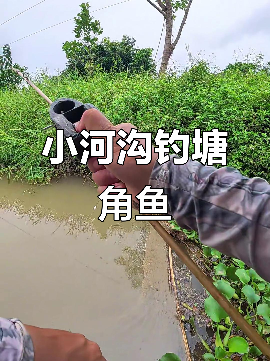 台风后小河沟钓鱼，塘角鱼和罗非疯狂上钩