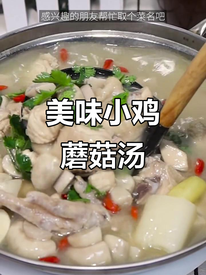 小公鸡炖蘑菇汤,鲜香四溢,家人都夸你厨艺高超