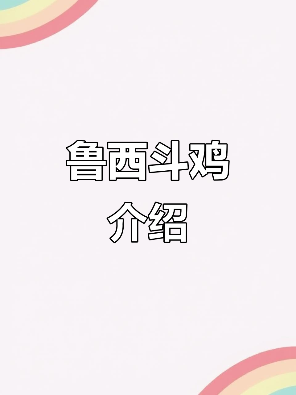 鲁西斗鸡:古老品种的威武与美丽