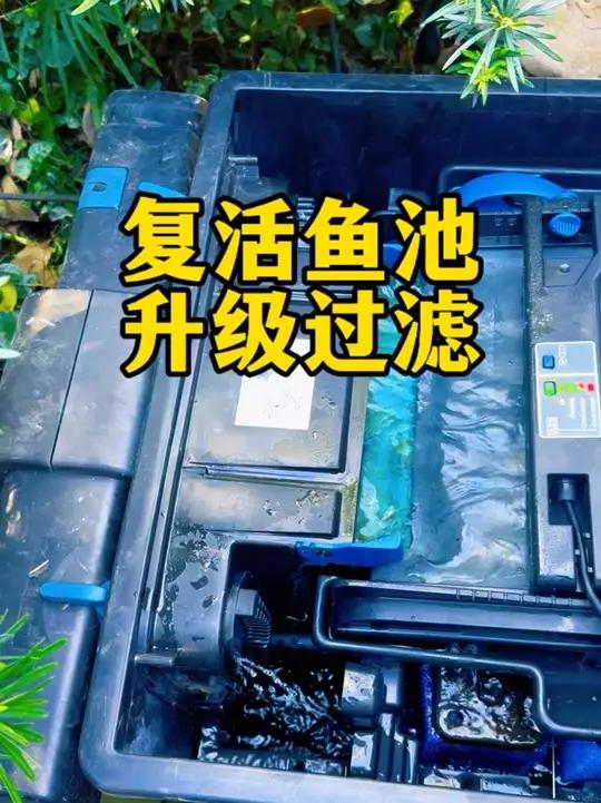 十吨水的池子将焕然一新,复活欧亚瑟过滤设备,加装全自动过滤桶 10吨水鱼池过滤系统升级改造