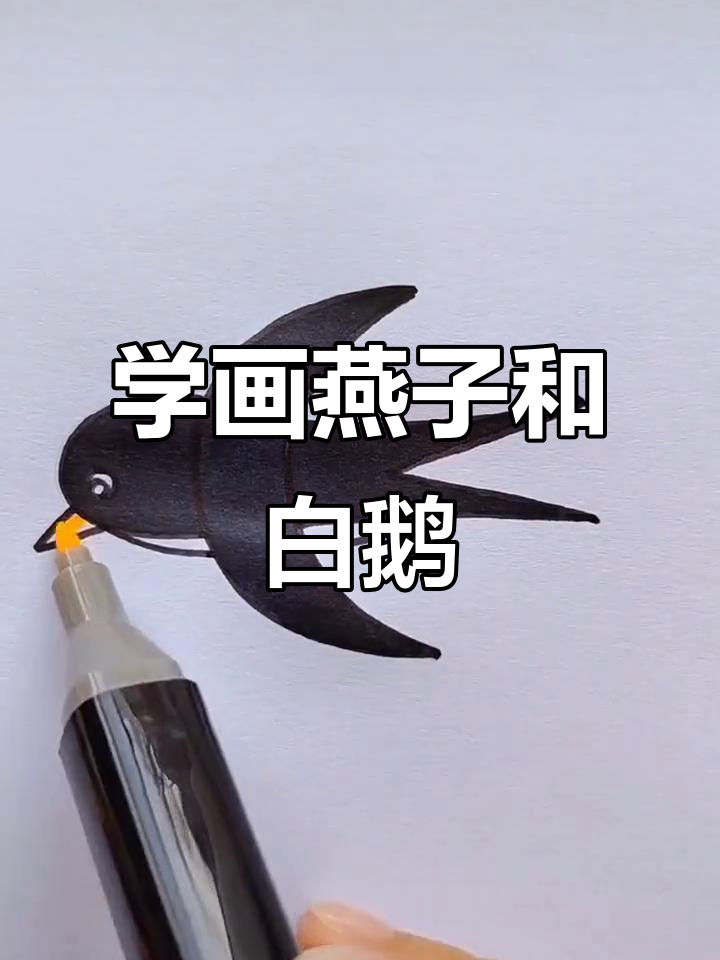 轻松学画燕子与大白鹅,简单步骤教你搞定
