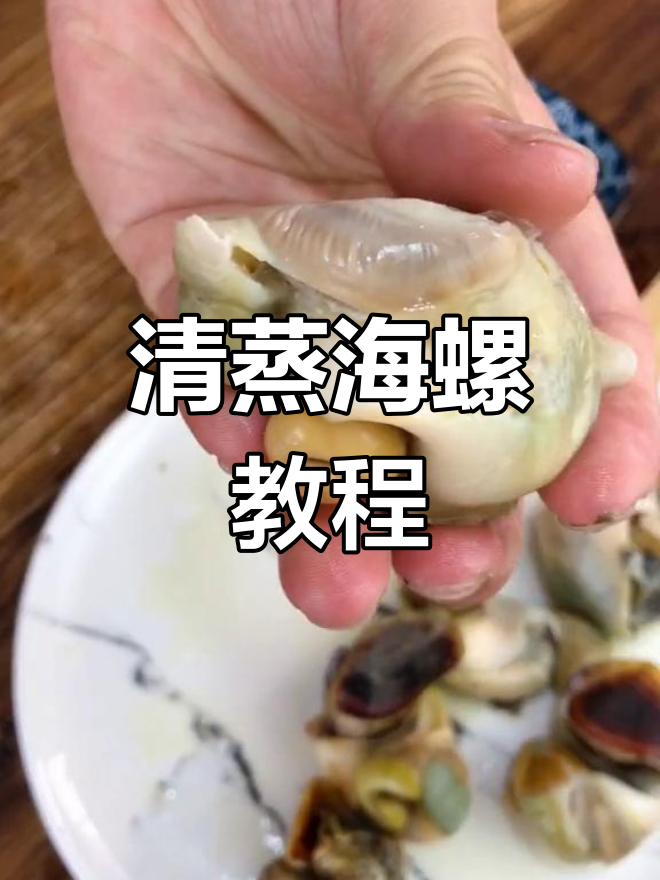 简单清蒸海螺,海边人最爱的吃法