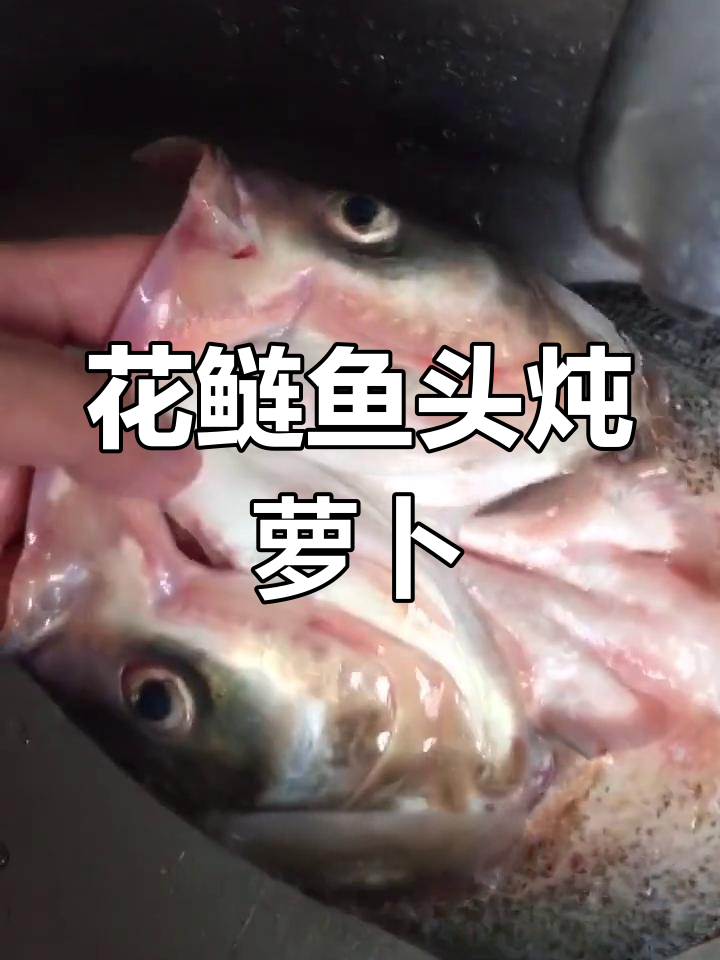 花鲢鱼头炖白萝卜,轻松做美味