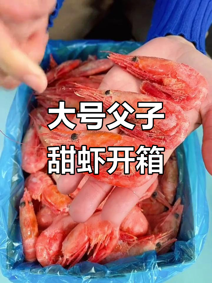 父子甜虾大揭秘!北极腹籽超饱满,三斤装品质保证
