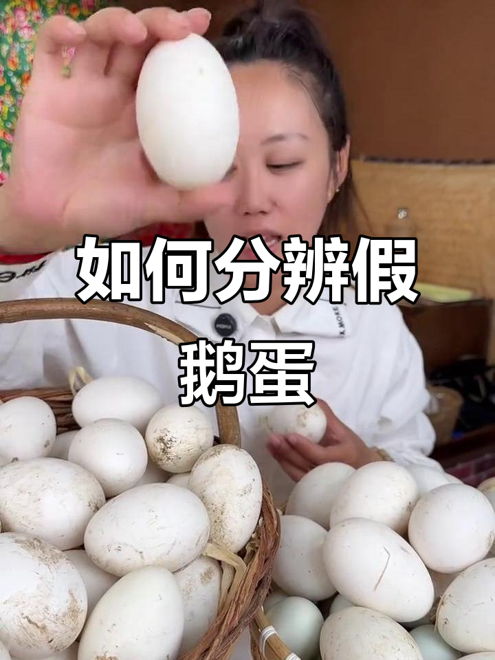 真假鹅蛋大揭秘！如何辨别大雁蛋和真鹅蛋
