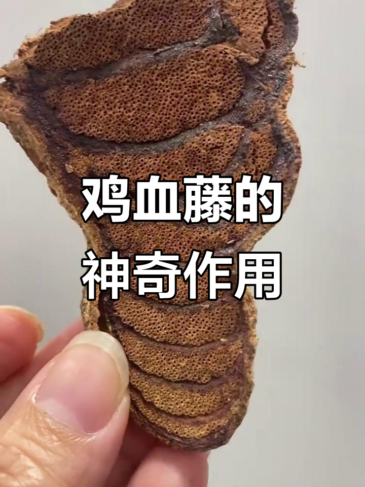 广西野生鸡血藤，煲汤泡酒必备，生长周期长效果好