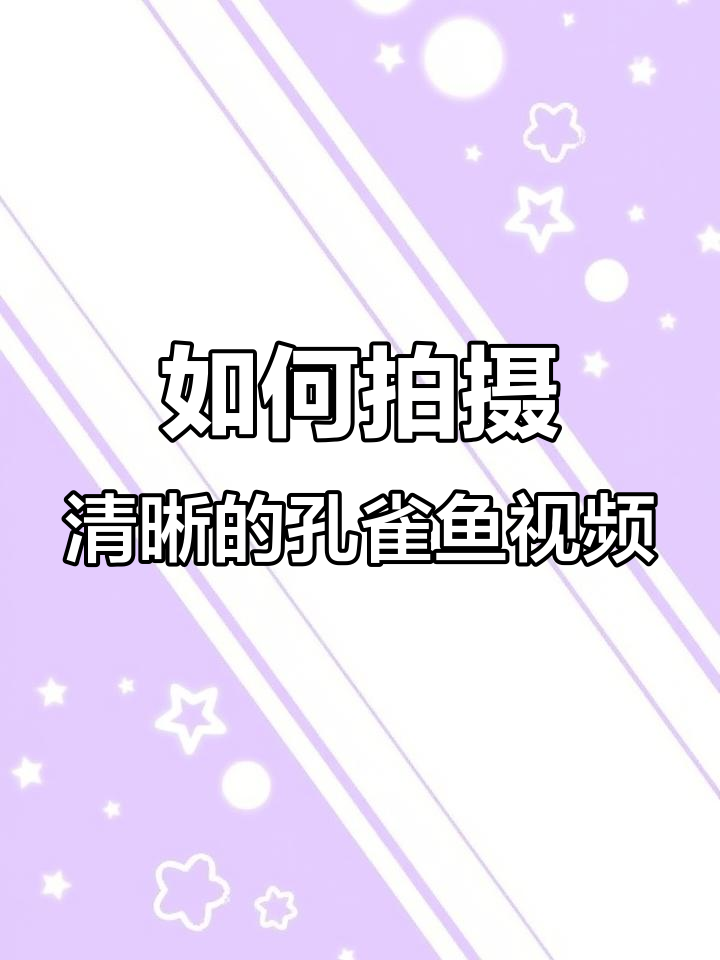 拍孔雀鱼宝宝更清晰的小技巧，背景、灯光全搞定