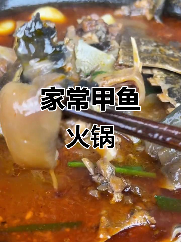 湖北荆州特色甲鱼火锅,轻松在家做,味道超赞