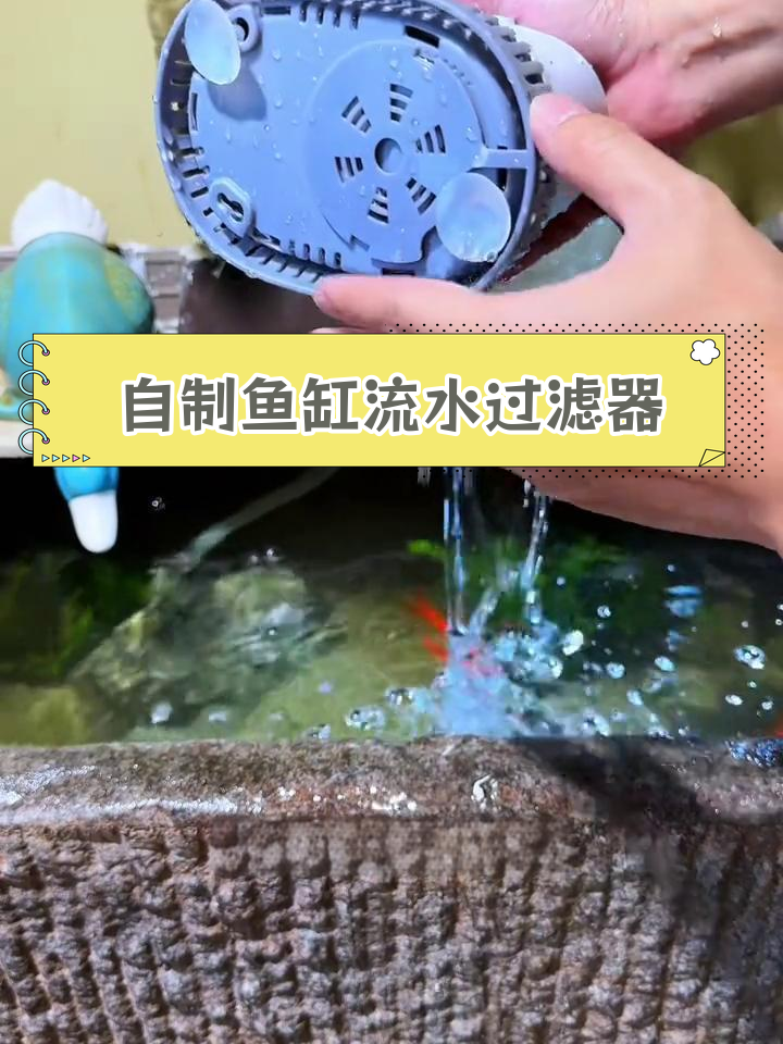 打造美观实用的鱼缸流水过滤系统