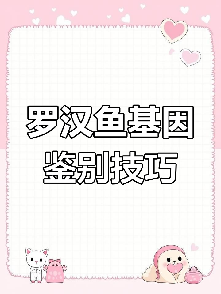 如何判断罗汉鱼基因优劣?从纹路、颜色和起头率看品质