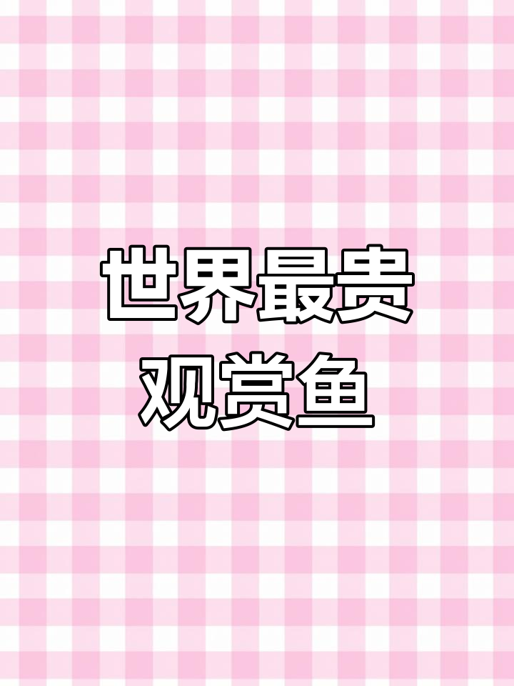 印度尼西亚血红龙鱼,7500万人民币的珍稀观赏鱼