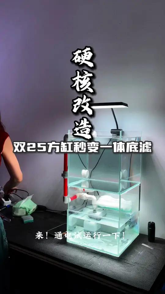硬核改造，低成本逆袭！手把手教你用两个25方缸Diy超实用一体底滤缸！