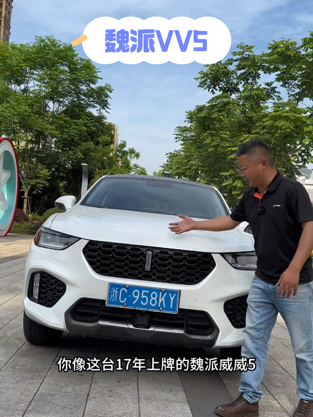 魏派VV5